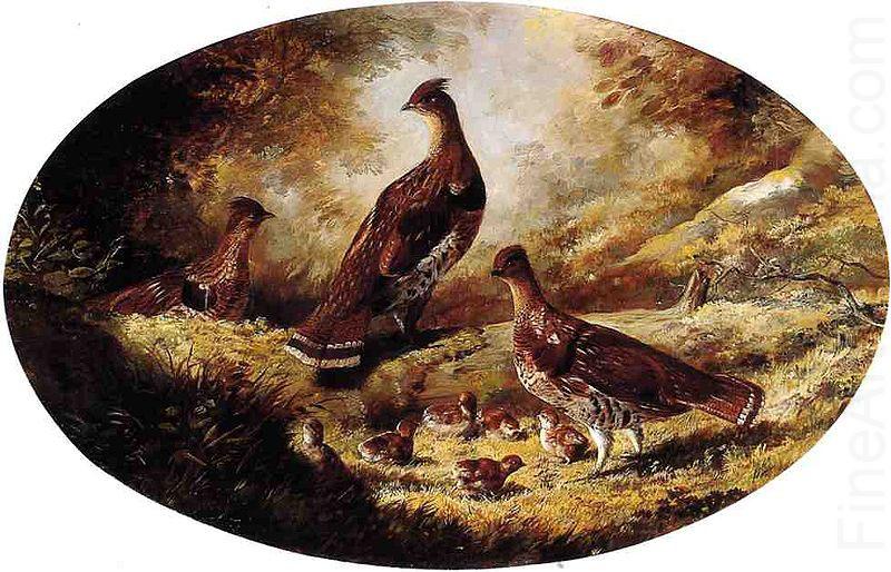 Grouse Family, Ferdinand Richardt